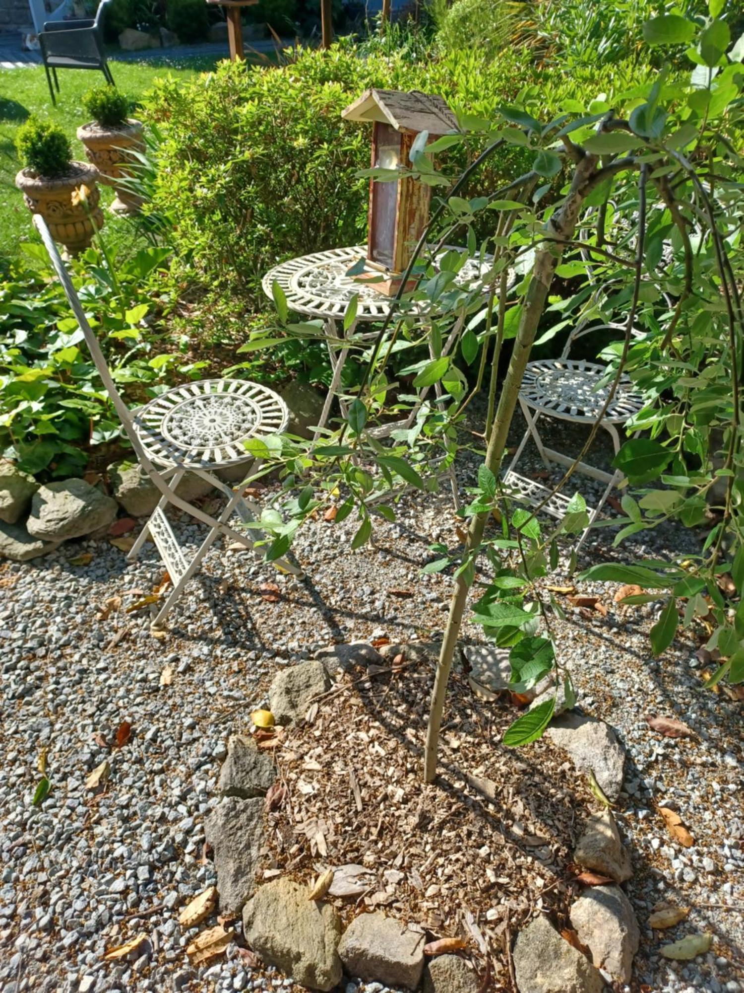 Le Banellou Bed and Breakfast Quimper Eksteriør billede