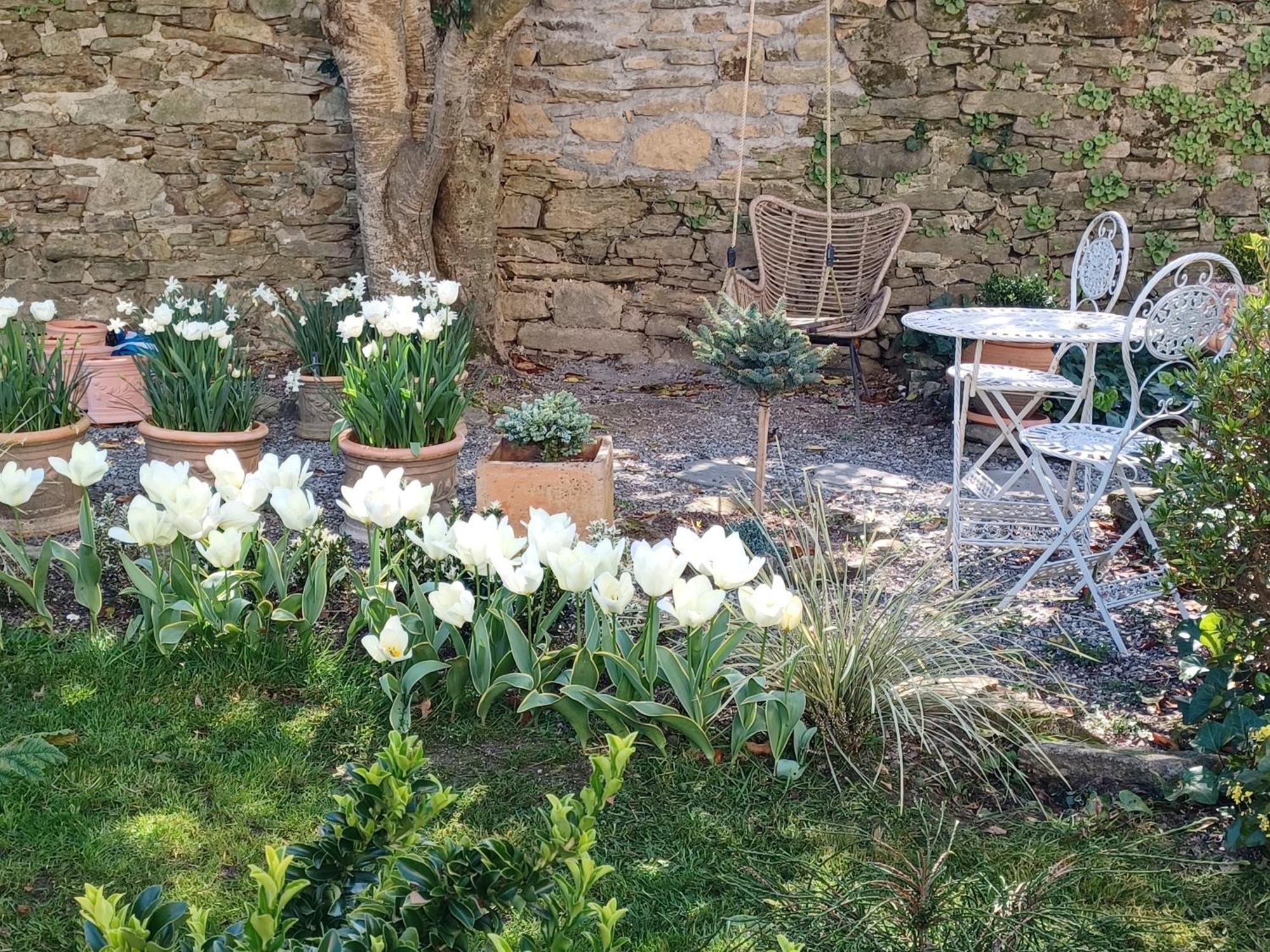 Le Banellou Bed and Breakfast Quimper Eksteriør billede