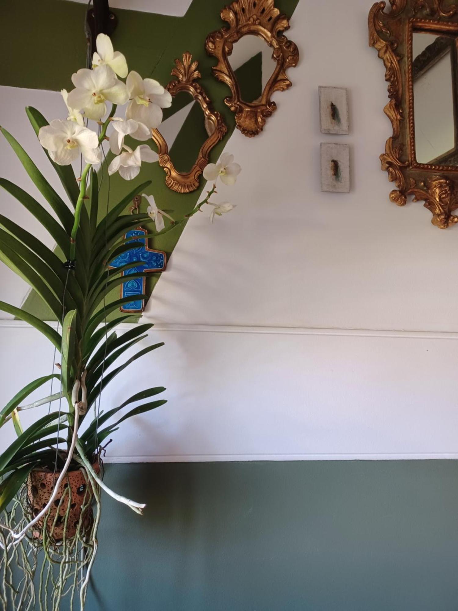 Le Banellou Bed and Breakfast Quimper Eksteriør billede