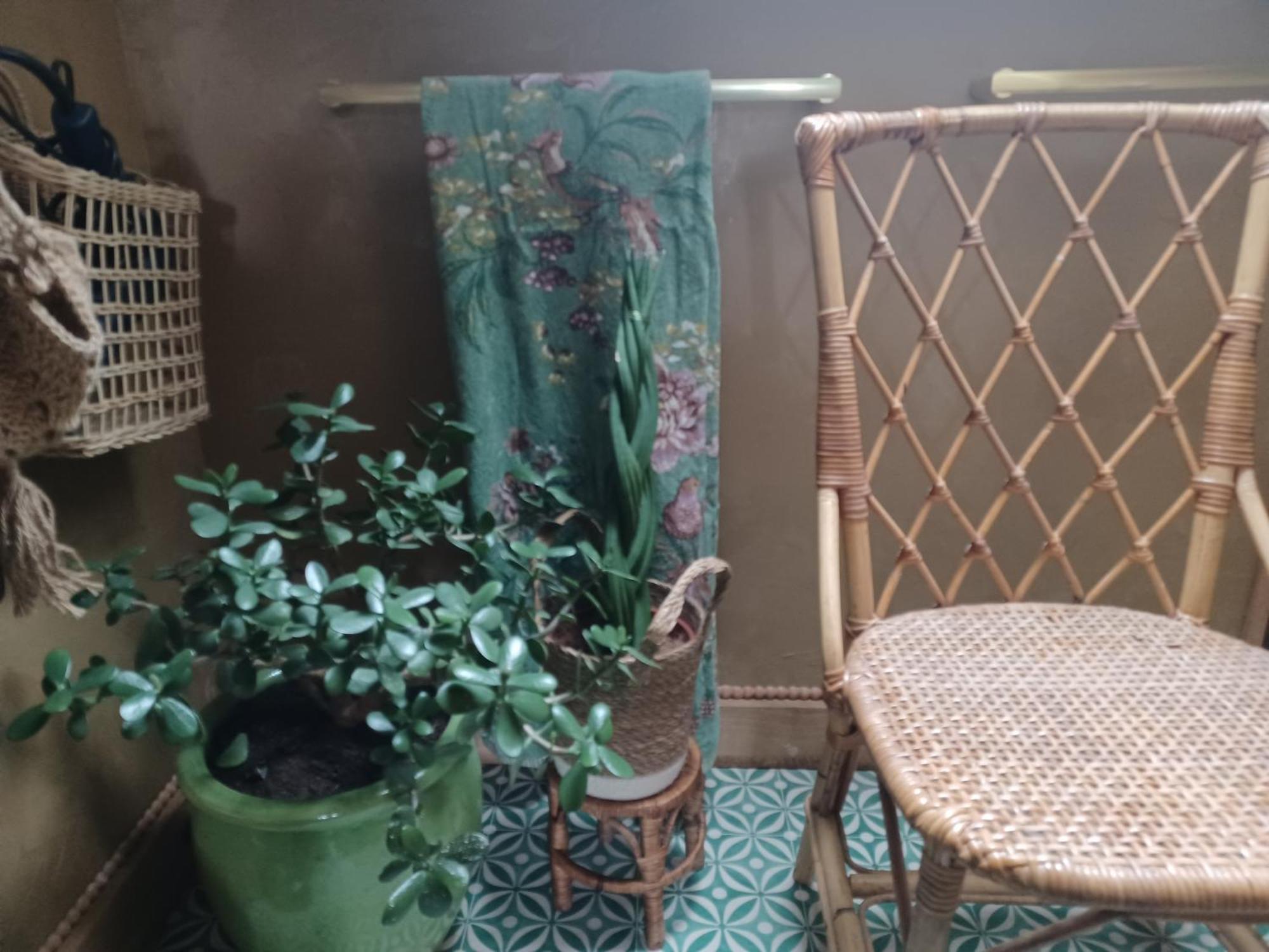 Le Banellou Bed and Breakfast Quimper Eksteriør billede